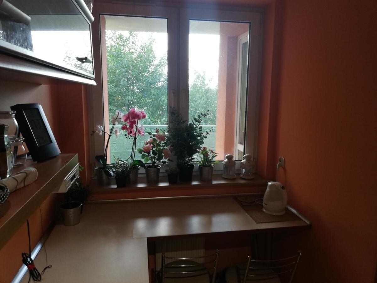 - Apartament Z 3 Niezaleznymi Pokojami Apartamento