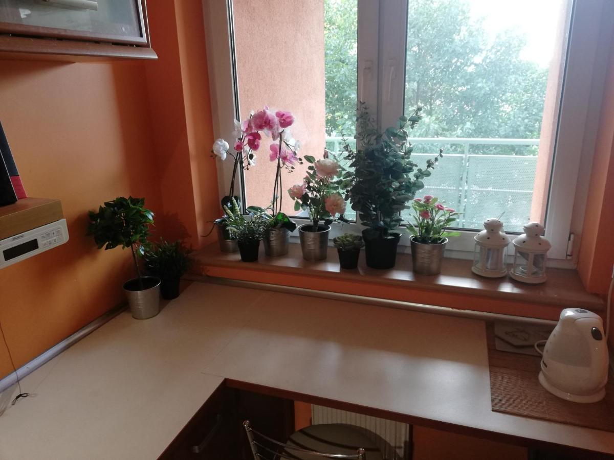 Apartamento - Apartament Z 3 Niezaleznymi Pokojami *